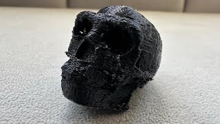 3D printed HOMO ERECTUS skull [upl. by Samalla]