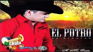 El Potro de Sinaloa  A Mi Estilo  ALBUM [upl. by Ysac965]