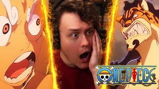 GEAR 5 LUFFY VS LUCCI ONE PIECE Episode 1100 REACTION  RogersBase Reacts [upl. by Adnicaj227]