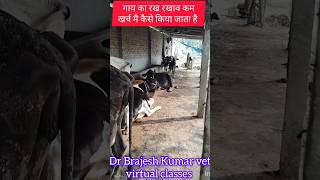 dairy farming in India Dr Brajesh Kumar vet virtual classes shorts viralvideo [upl. by Negah]