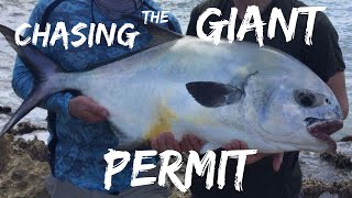 How to fish for permit hook set GIANT PERMIT ON FLY tips amp crabs [upl. by Amaryl]