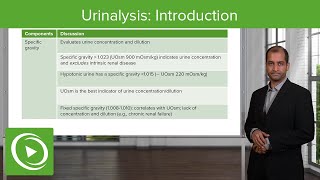 Urinalysis Introduction – NephrologyFoundations  Lecturio [upl. by Llenrod]