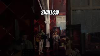 Shallow acoustic cover singing cover musicgenre singer [upl. by Riocard]