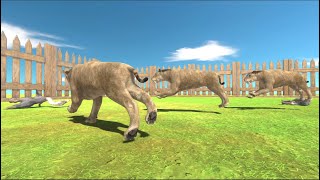 Smilodon vs Terror Bird arbs animalrevoltbattlesimulatorsimulator [upl. by Rogers]