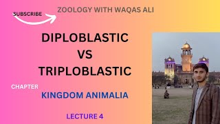 DIPLOBLASTIC AND TRIPLOBLASTIC ANIMALS [upl. by Aryt315]