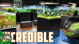 The BEST Aquascaping Store in the WORLD [upl. by Mohl]