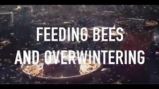 Feeding Bees and Overwintering [upl. by Nayr]