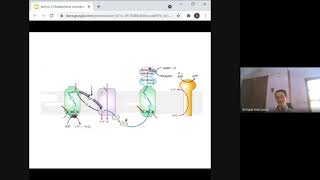 Metabolismo Microbiano  Clase 2 Parte 8 [upl. by Oshinski]