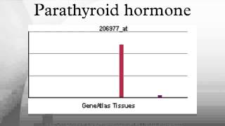 Parathyroid hormone [upl. by Nehtanhoj330]