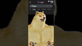 Doge meme … [upl. by Krum788]