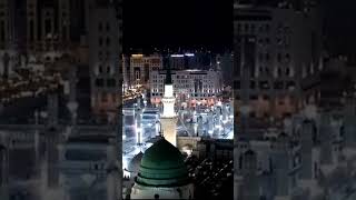 Omra Visa available ☝️🕋islamicholycities foryou viralvideo travel Makkah MADINA 🕌 [upl. by Barram]