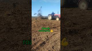 Traktor poszalał obornik rozrzucony 💪rolnik rolnictwo farming ursus traktor shorts short [upl. by Fredia]