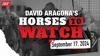 Horses to Watch  September 17 2024 [upl. by Aienahs321]