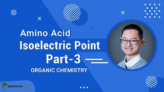 Isoelectric Point of Amino Acids Part 3 [upl. by Hay]