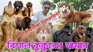 Dog price in Bangladesh  Biggest Dog Form  Dog price 2023  Animal market in Bangladesh [upl. by Sherie]