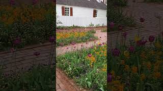 Another Colonial Williamsburg garden in early spring 2024 [upl. by Lanni]