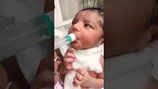 Feeding reflex so sweet 👌🥰cutebaby nicubaby childbirth tranding [upl. by Eahsed]