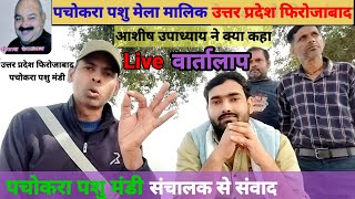 पचोकरा पशु मंडी  मेला मालिक से सीधा संवाद  क्या कुछ बोले  pachokhara Pashu Mandi interview [upl. by Arawaj]