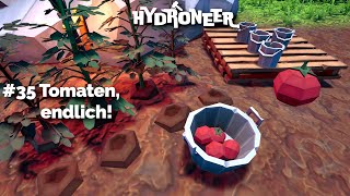 Hydroneer Lets Play 35 Tomaten schnetzeln [upl. by Nerac]