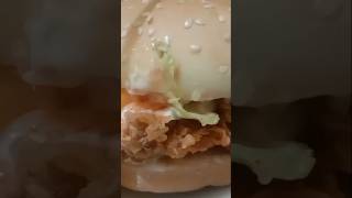 I tried zinger burger at street food zingerburger streetfood fries burger ytshorts [upl. by Suhpoelc566]