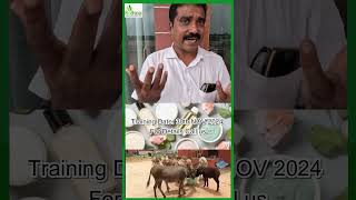 25 வருஷம் அனுபவம் கண்டிப்பா வெற்றி நிச்சயம்Aindhinai Donkey Farm farming donkeyfarm agriculture [upl. by Lodovico]