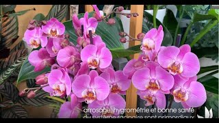 Faire refleurir ses orchidées  Truffaut [upl. by Perlis]