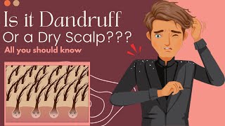 Is It Dandruff Or A Dry Scalp Heres What You Need To Know [upl. by Mintun]