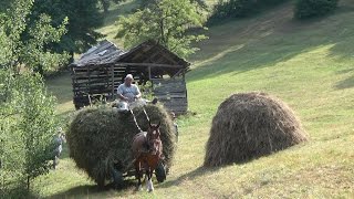 Romania Transylvania Hay Camp 2015 Part 3 [upl. by Rosio217]