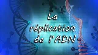 La réplication de lADN [upl. by Jotham]