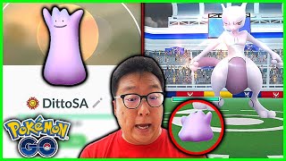 What Happens If We Use a Max Level Ditto Against Mewtwo in Pokemon GO [upl. by Edyak356]