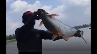 Mancing Ikan Patin Umpan Sawit Rebus [upl. by Orimar759]