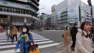 Kyoto Cycling  From JR Kyoto Sta to Kyoto Gyoen through the Karasuma Street 4K POV [upl. by Kauffman]