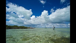 FIGHTING BONEFISH in the MANGROVES [upl. by Brucie]