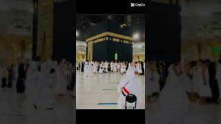 Mohammed Nabi na Islamicshort viral short Islamic status trending naat shortfeed viralshorts [upl. by Eugor]