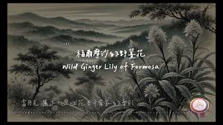 福爾摩沙的野薑花Wild Ginger Lily of Formosa 如母親的溫柔，護佑每一寸土地，那野薑花的芬芳，成為家鄉的記 【動態歌詞  Pinyin Lyrics】【Taichia太甲】 [upl. by Yhotmit]