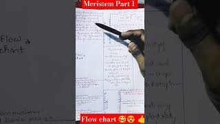 meristem  meristematic tissue flow chart part 1 neet shorts [upl. by Mogerly]