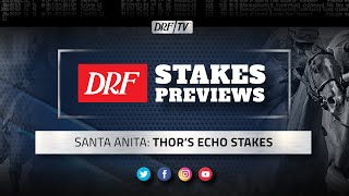 Thors Echo Stakes Preview 2020 [upl. by Zetes904]