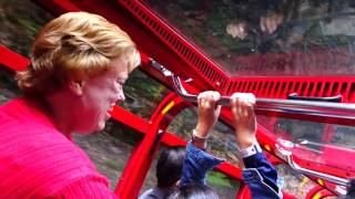 Blue Mountain Scenic Railway  worlds steepest inclined Railway [upl. by Ronen]