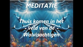 Meditatie Integratie in het Bewustzijnsveld van de Walvisachtigen [upl. by Nitsuga996]