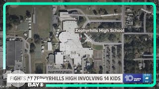 Zephyrhills High School admin investigate fight involving 14 students staff [upl. by Akenehs]