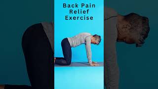 Lower Back Stretches to do dailyBack Pain Relief ExercisesBack Pain Exercise [upl. by Dez]