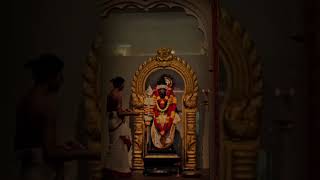 omsaravanabhava devotionalsong murugadevotional trending Murugan songTamil kadavul Murugan song [upl. by Lucilla945]