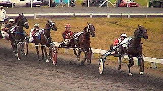 AMMAN VALLEY HARNESS RACES 392000 GRADE A HEAT 1 [upl. by Keviv]