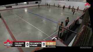 Womens  Calgary Vipers vs New Tecumseth Xtreme [upl. by Vaules162]