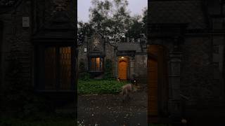 the gatehouse through the seasons ☘️ cottagecore darkcottagecore [upl. by Bax]