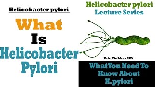 What Is Helicobacter Pylori [upl. by Eivla]