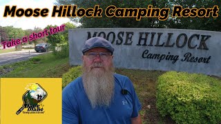 Moose Hillock Camping Resort  Campground Review Fulltime RVing [upl. by Riplex366]