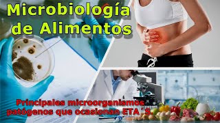 Microbiología de los alimentos y principales microorganismos patógenos que ocasionan ETA´S [upl. by Enyamert894]