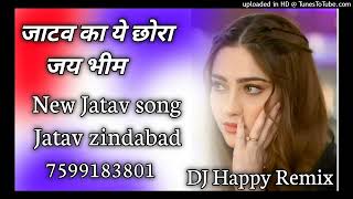 jatav ka chora Deewana jatav song remix DJ Happy mix [upl. by Nahttam]