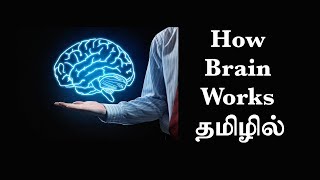 மூளை எப்படி வேலை செய்கிறது Ep7 Basic Psychology in Tamil [upl. by Eleets]